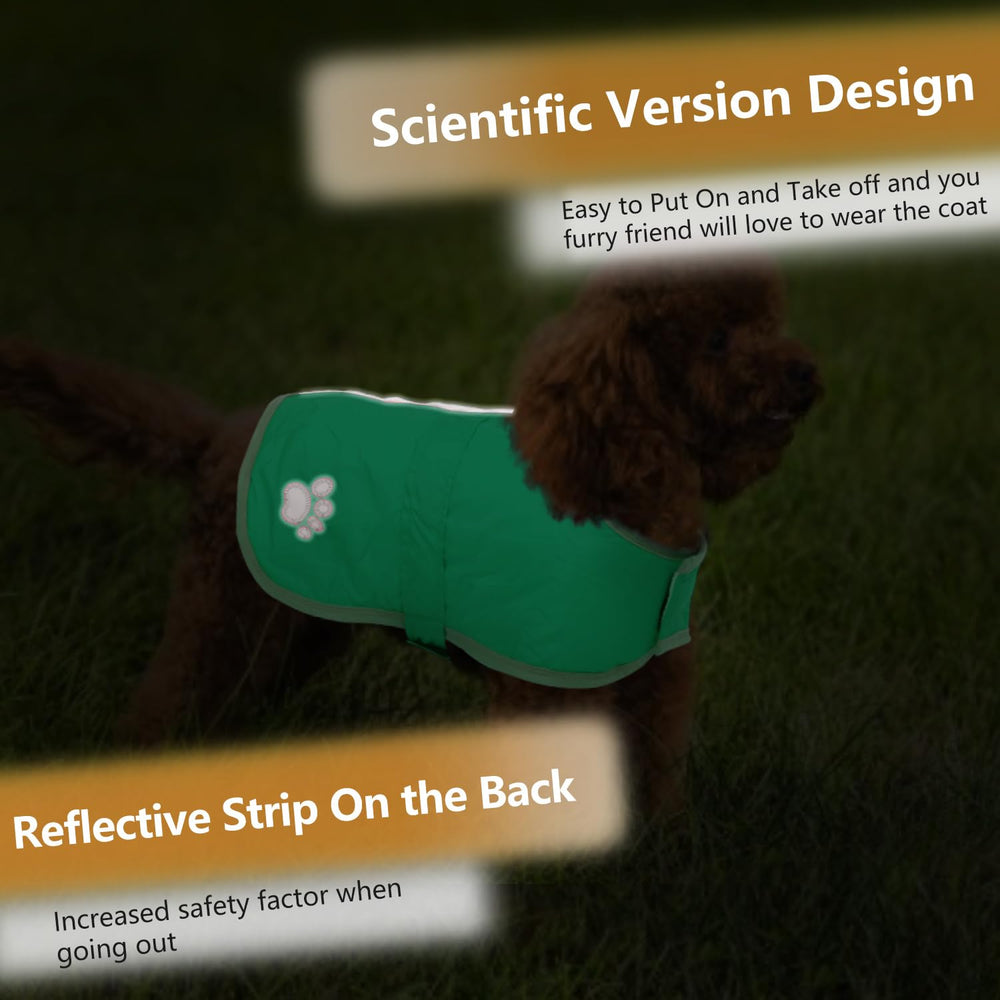 Queenmore impermeable-lluvia-resistente, mantiene al perro seco.