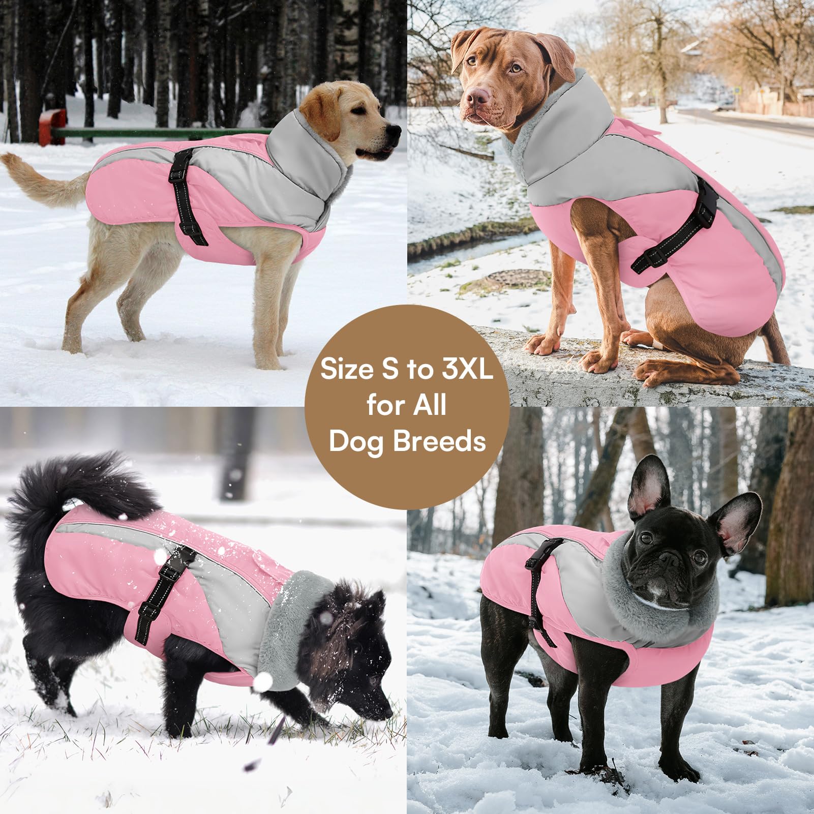 Queenmore material impermeable de poliéster, mantiene al perro seco al exterior.