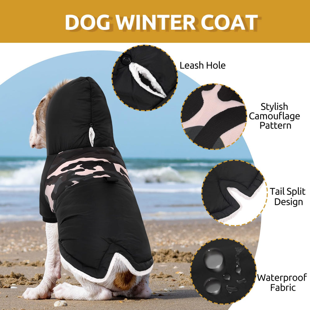 Queenmore jaqueta para perros camuflada en la espalda, ideal para paseos.