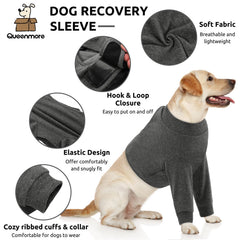 Manga de recuperación Queenmore con velcro ajustable para un ajuste cómodo en perro