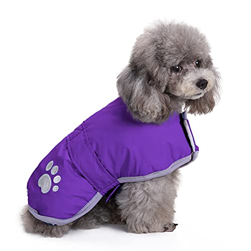 Capa impermeable Queenmore para perro con detalle reflectante.