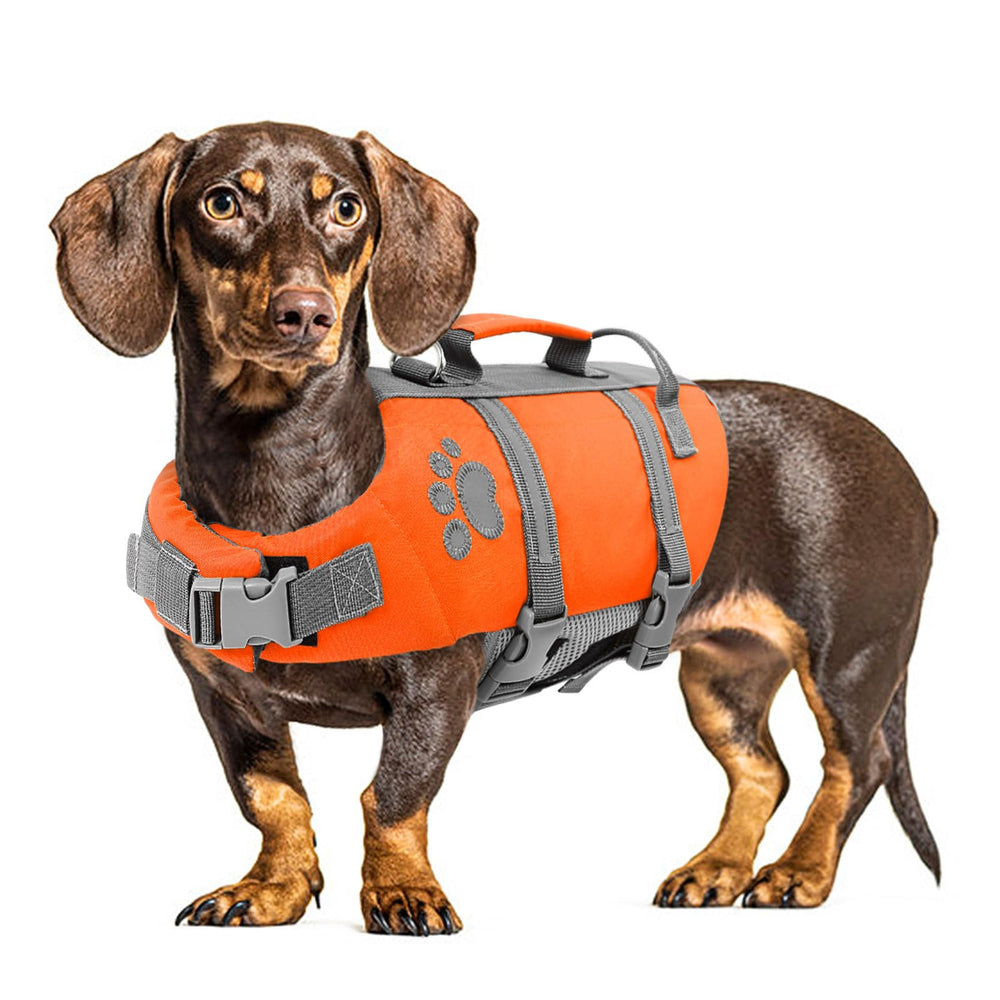 Queenmore chaleco salvavidas para perro mediano, alta flotación para natación segura.
