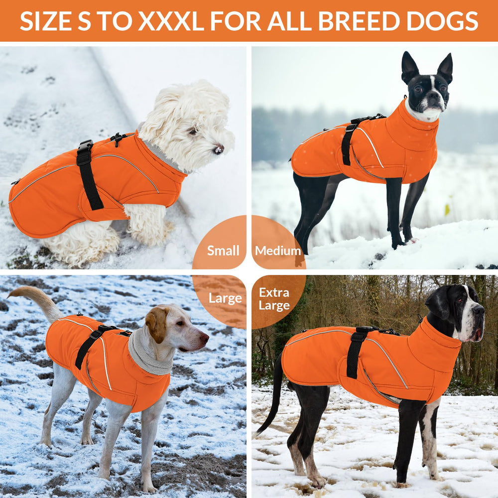 Queenmore chaqueta para perros en varias tallas para razas pequeñas a grandes.