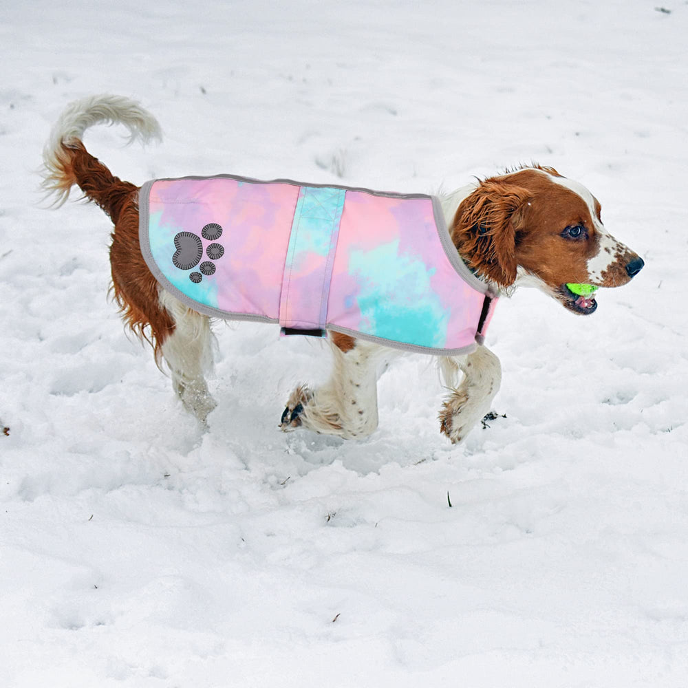 Queenmore chaqueta con visibilidad alta para caminatas nocturnas seguras.