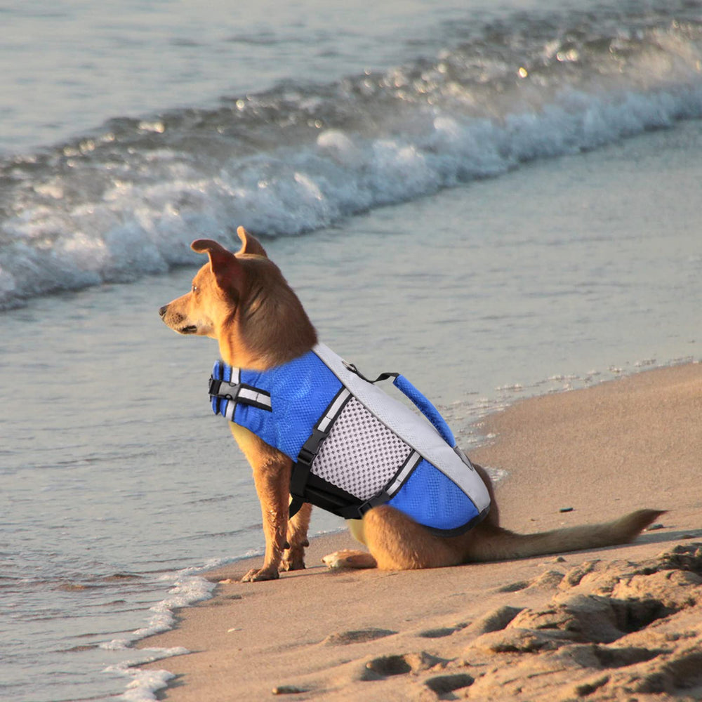 Queenmore chaqueta salvavidas para perros, anilla de correa integrada para paseos seguros.