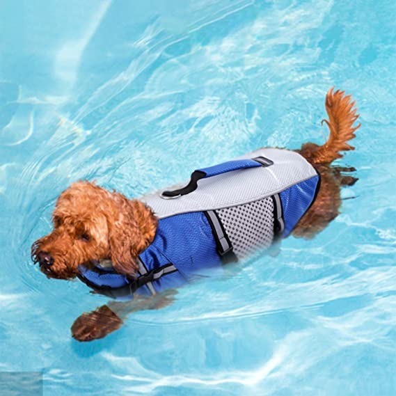 Queenmore chaqueta salvavidas para perros azul, ideal para natación supervisada.