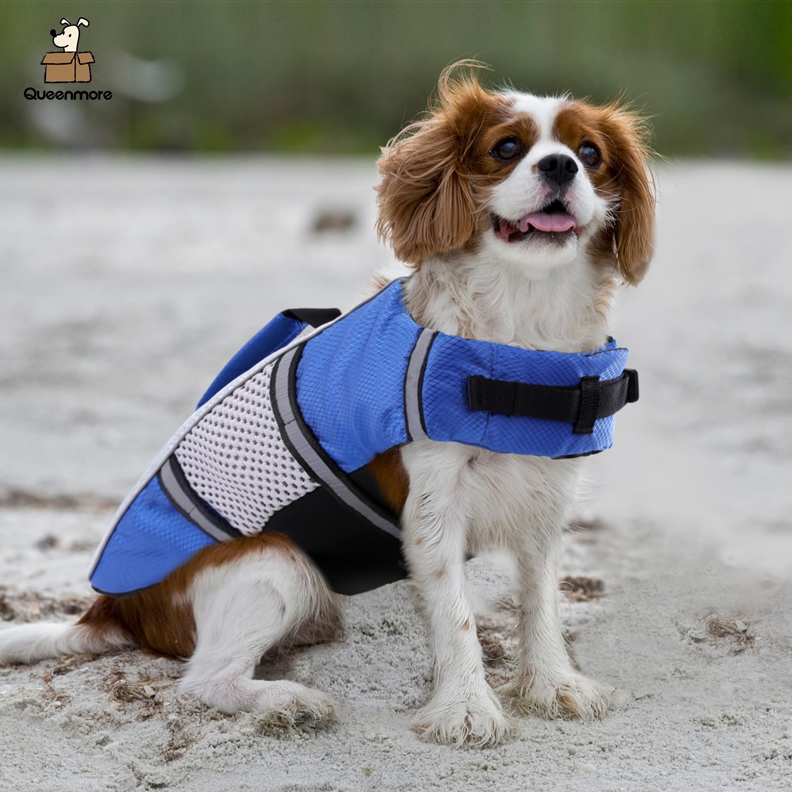 Queenmore chaqueta salvavidas para perros, gran zona reflectante para localización rápida.