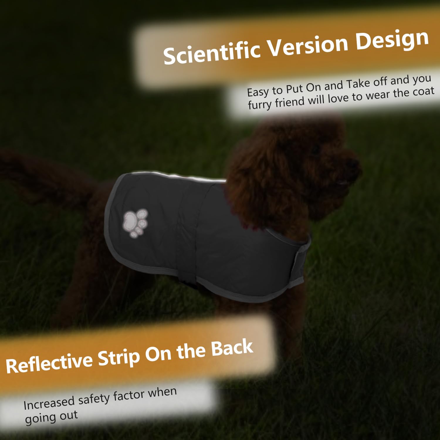 Queenmore abrigo canino, ajuste cómodo y tallas disponibles