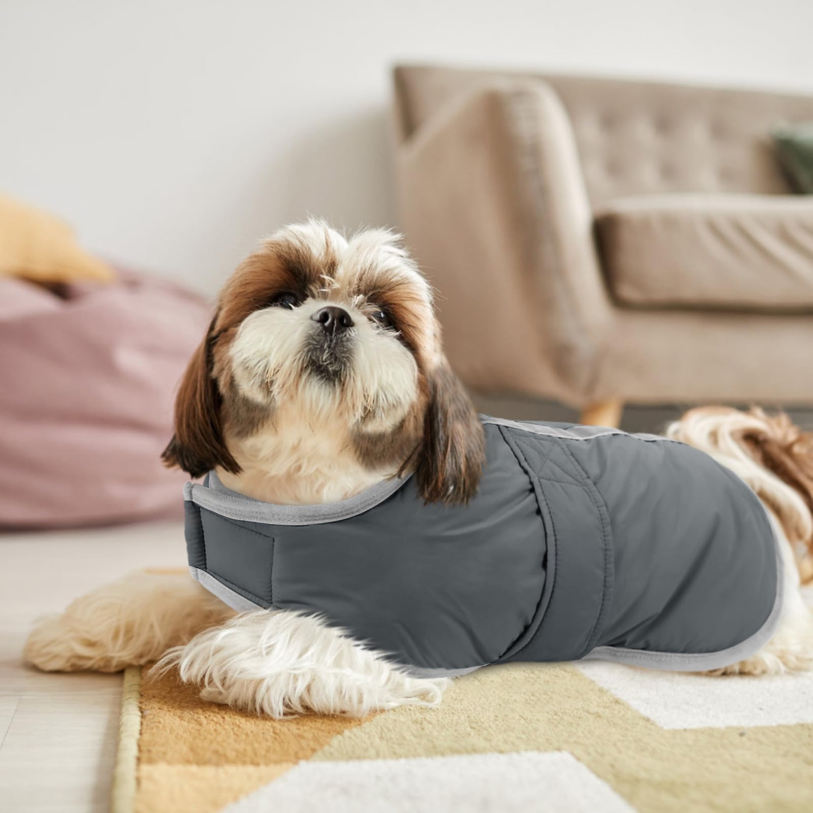Queenmore diseño reversible en abrigo para perro