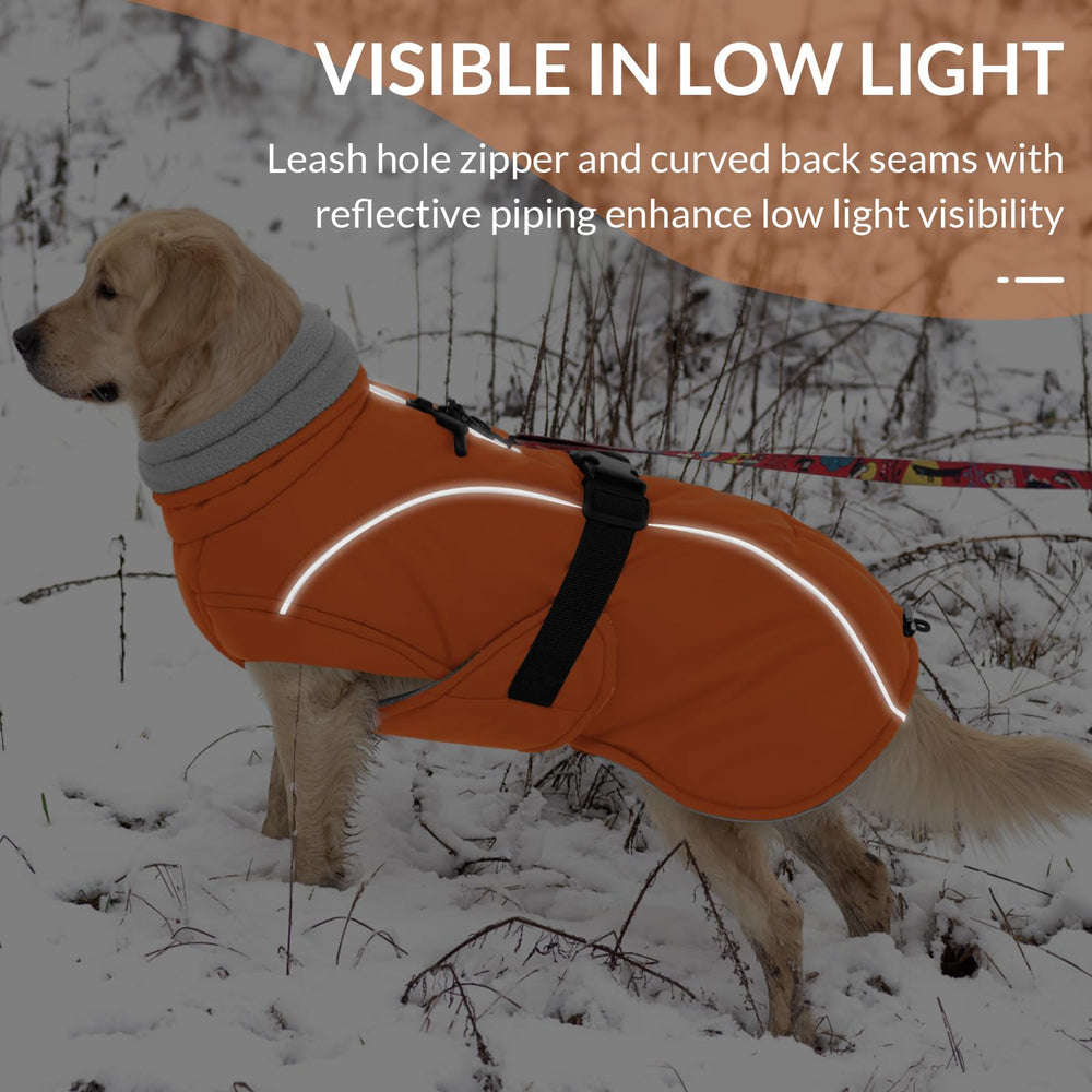 Queenmore uso exterior en nieve y frío, ideal para caminatas y juegos.