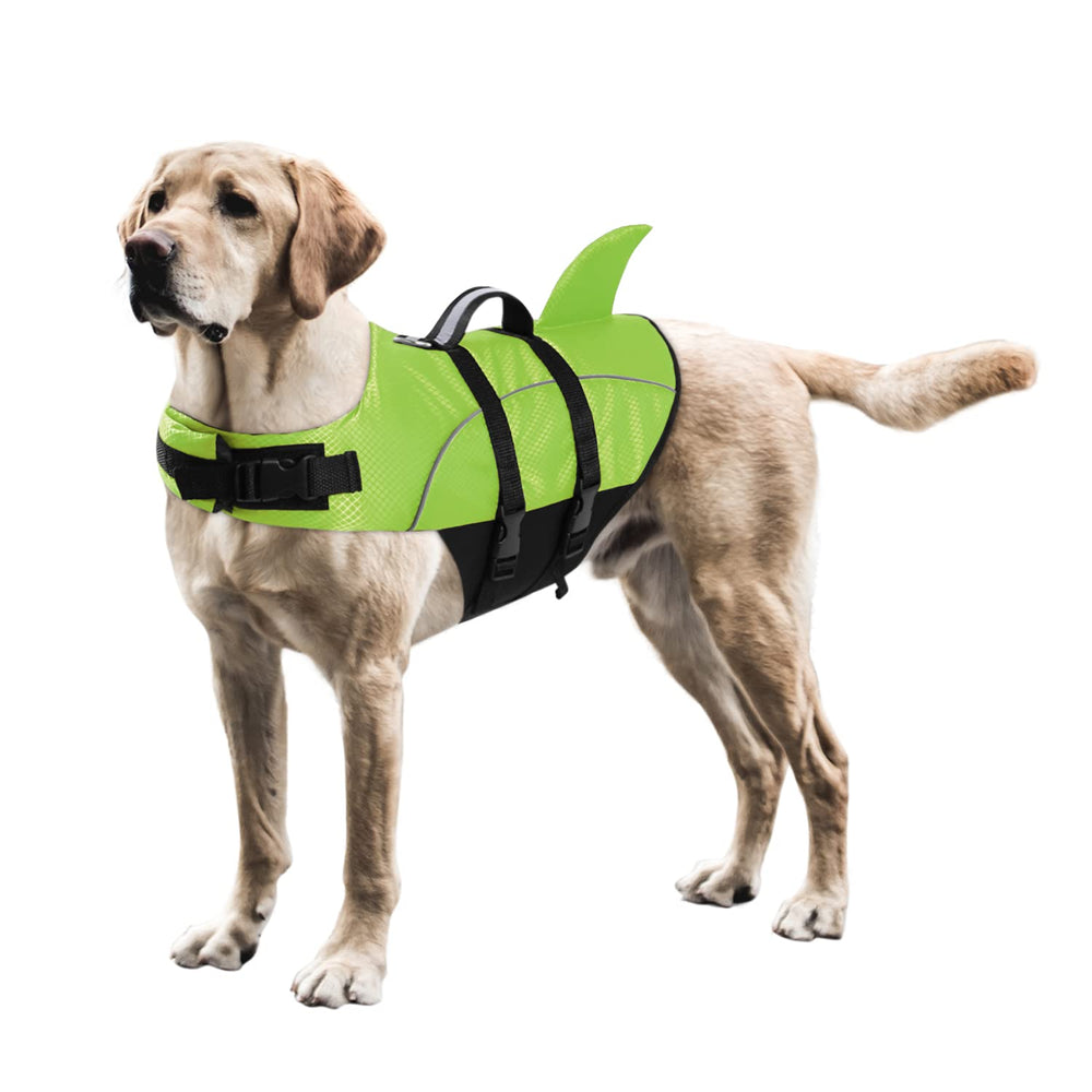 Queenmore Shark: chaqueta ligera y resistente para nadar con confianza.