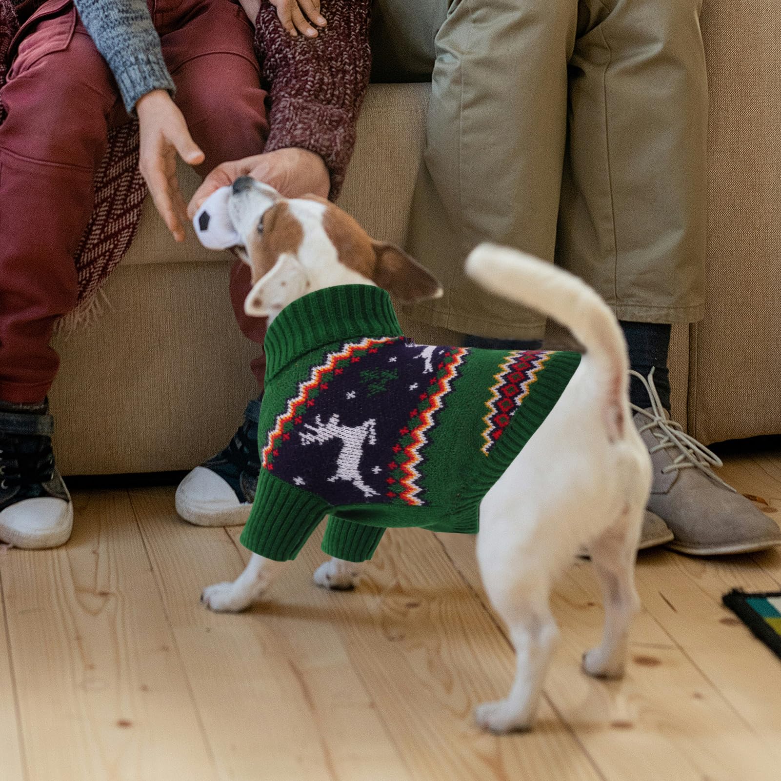 Queenmore sudadera navidad perro talla pequeña ideal para razas pequeñas