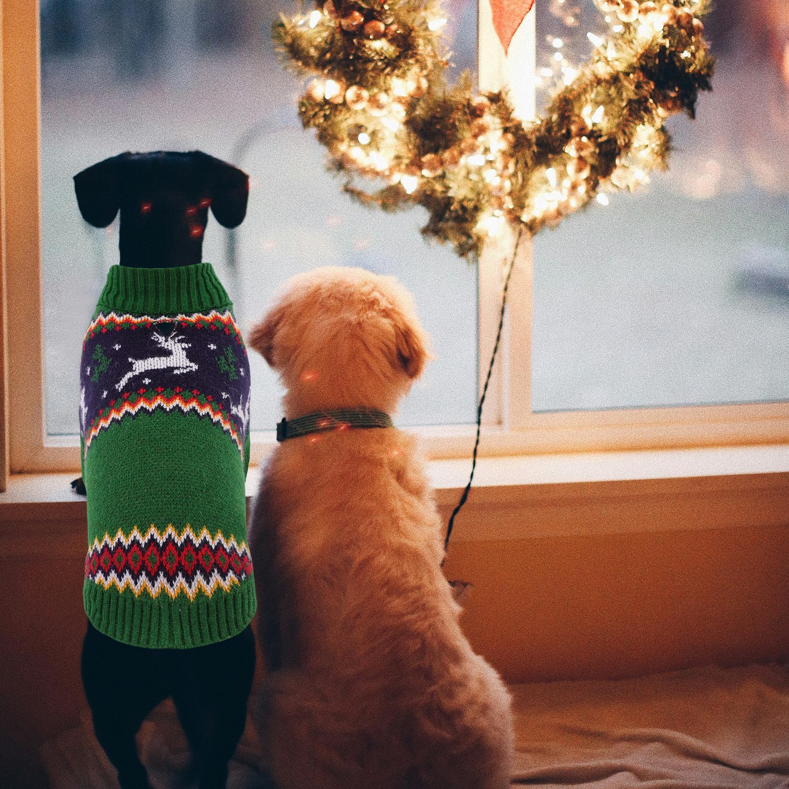 Queenmore sudadera navidad perro uso en fiestas y diario