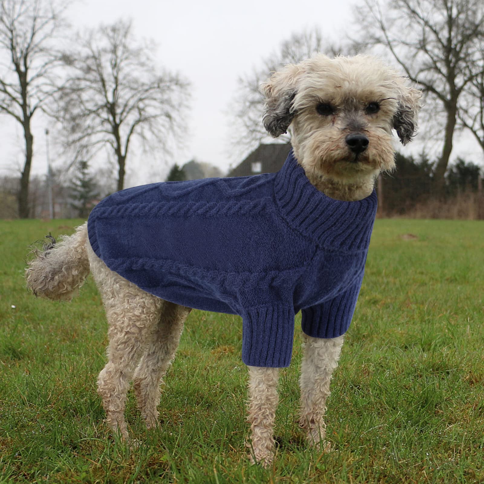 Queenmore sudadera para perro cuello alto, mantiene el cuello y pecho abrigados.