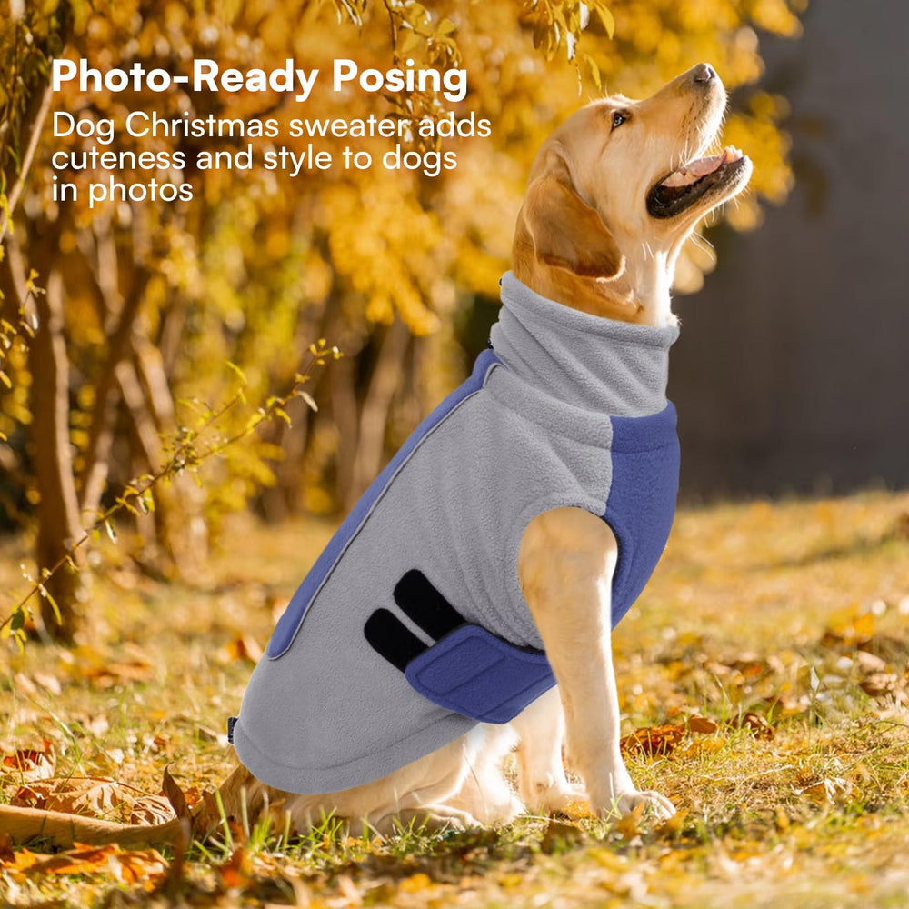 Queenmore sudadera para perro grande azul - diseño bicolor, estilo moderno para mascota.
