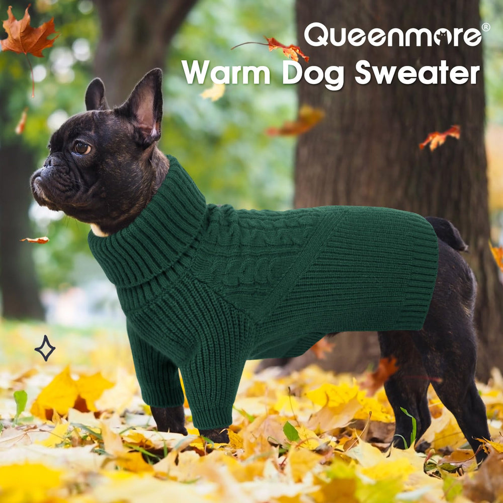 Queenmore sudadera para perro mediano en colores atractivos para cualquier ocasión.