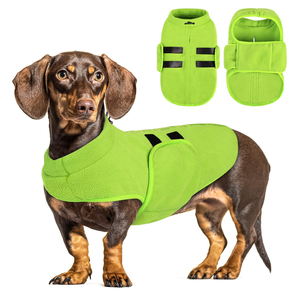 Queenmore sudadera para perro mediano en felpa verde, vista frontal que resalta la calidez.