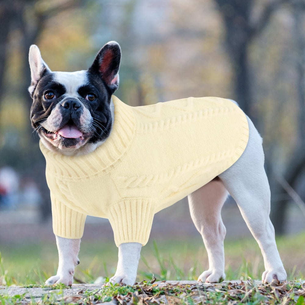 Colores sólidos disponibles en la sudadera Queenmore para perro pequeño.