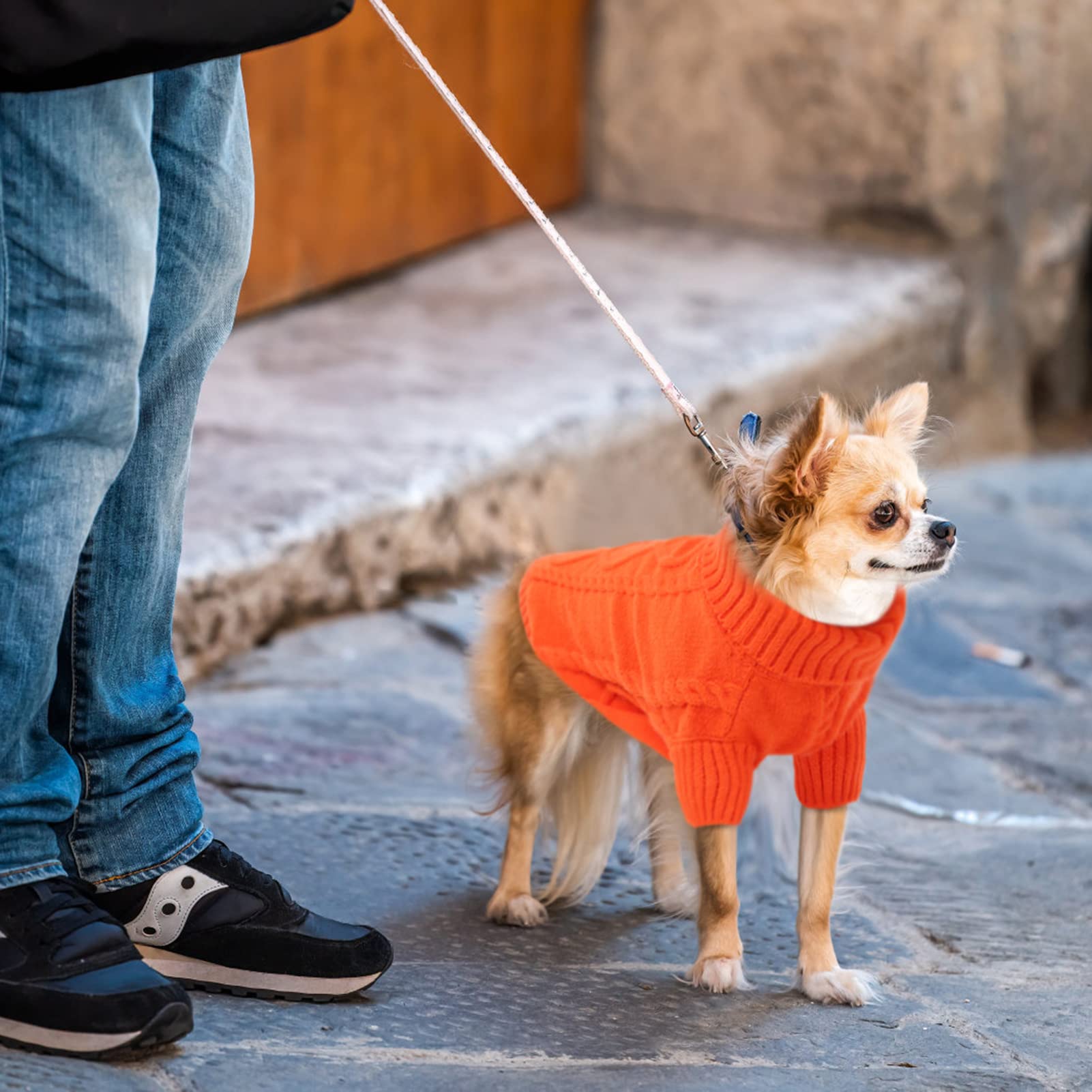 Queenmore sudadera naranja para perros pequeños, ideal para paseos en invierno.
