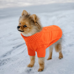 Queenmore sudadera naranja para perro, tejido cable, estilo clásico.