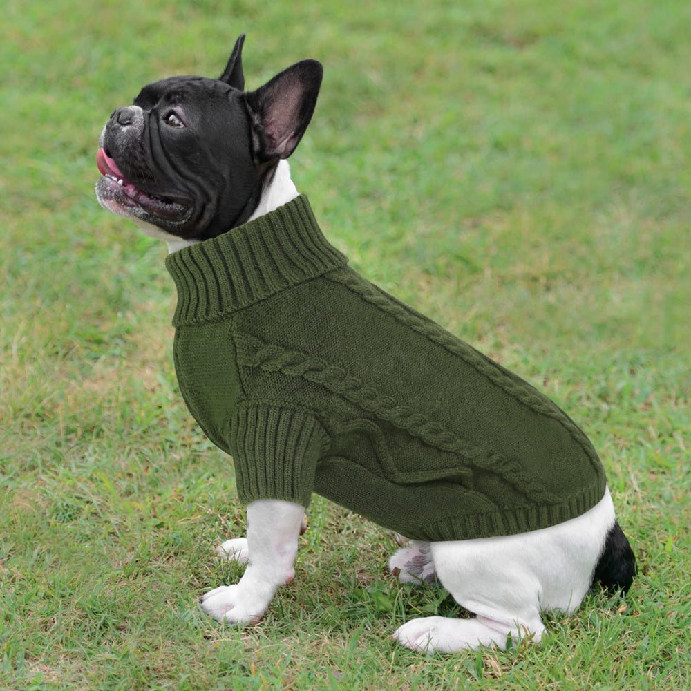 Queenmore prenda de talla media para perros pequeños, buena cobertura y calidez.