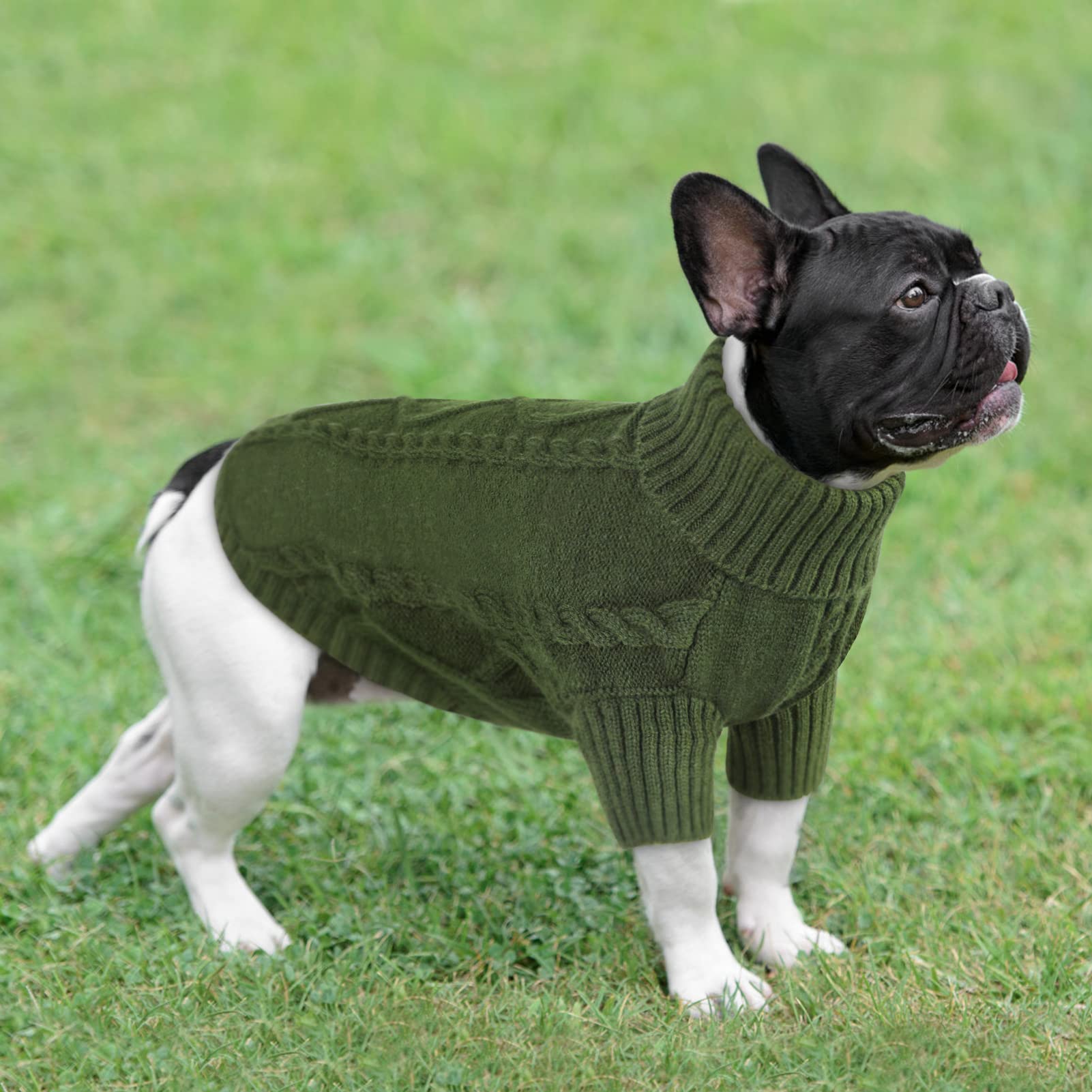 Queenmore sudadera para uso diario en perros pequeños, cómodo y fácil de colocar.