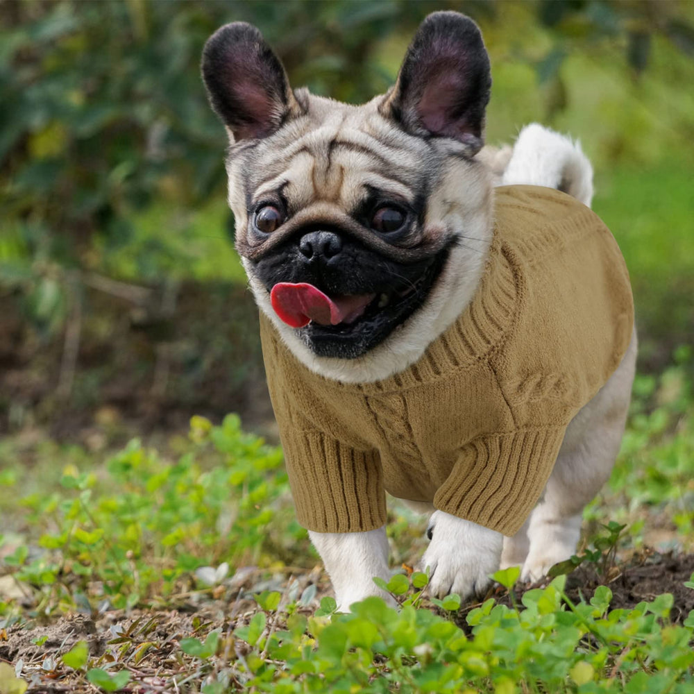 Queenmore suéter para perro, ideal para razas pequeñas como Chihuahua y Bulldog