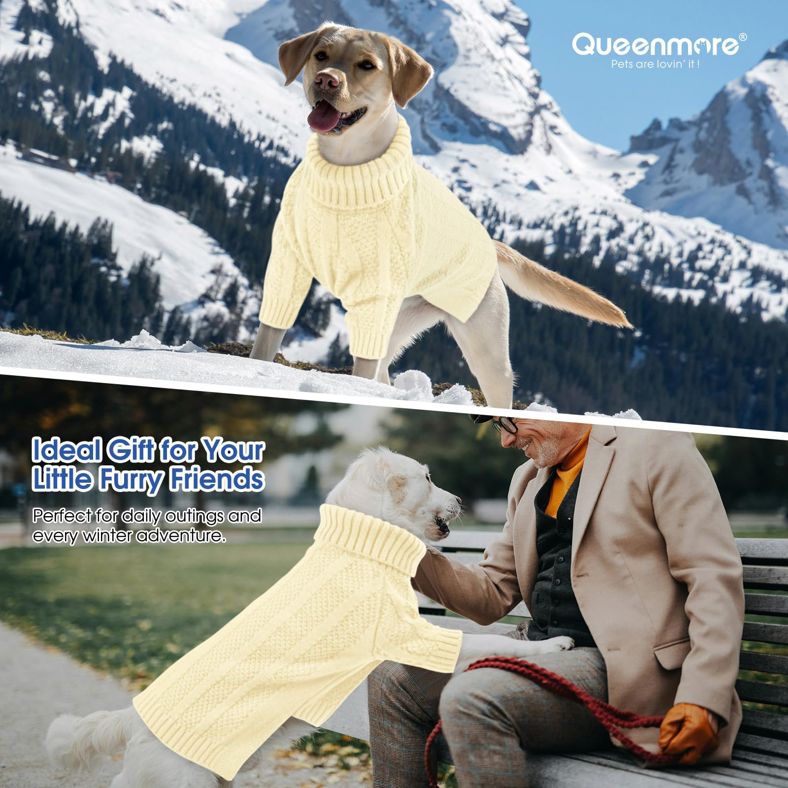 Queenmore suéter para perros ofrece seis tallas, incluido XS