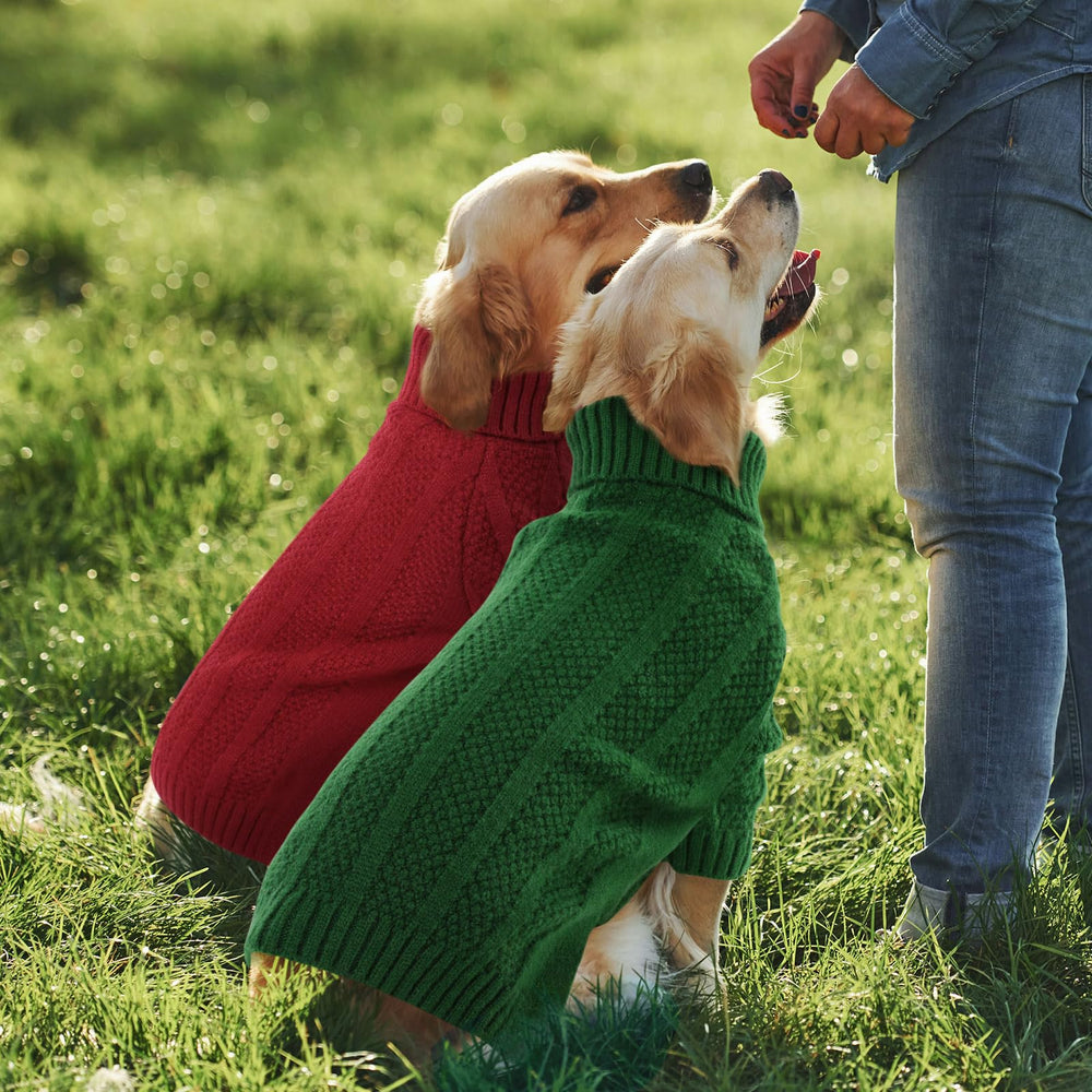 Queenmore sudadera perro tallas seis, ajuste cómodo