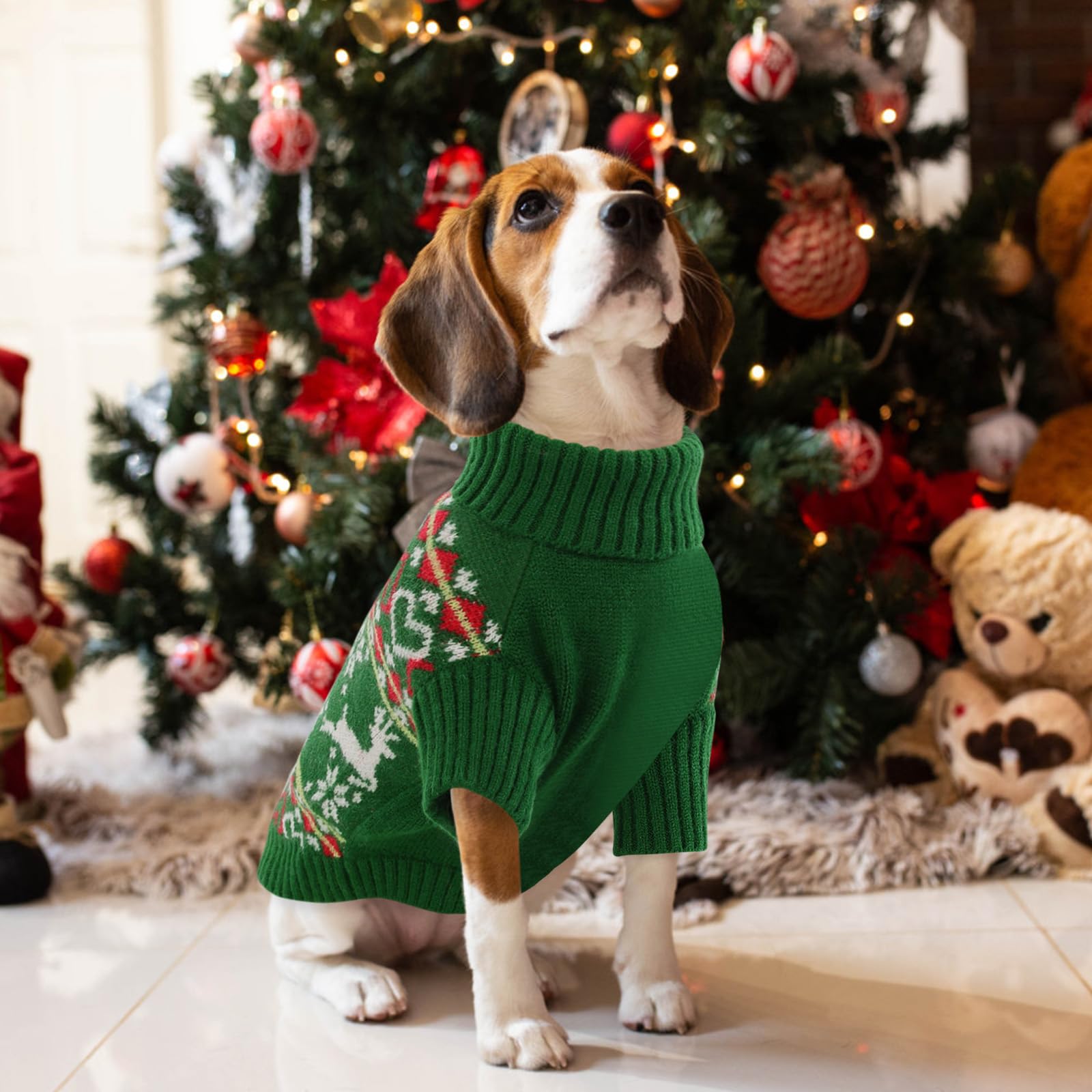 Queenmore suéter elástico para razas pequeñas, talla XS para Chihuahua y Shih Tzu