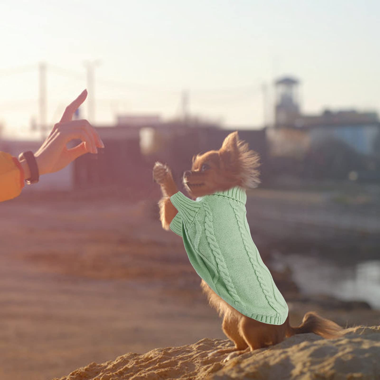 Queenmore suéter colores sólidos, estilo versátil para perros pequeños