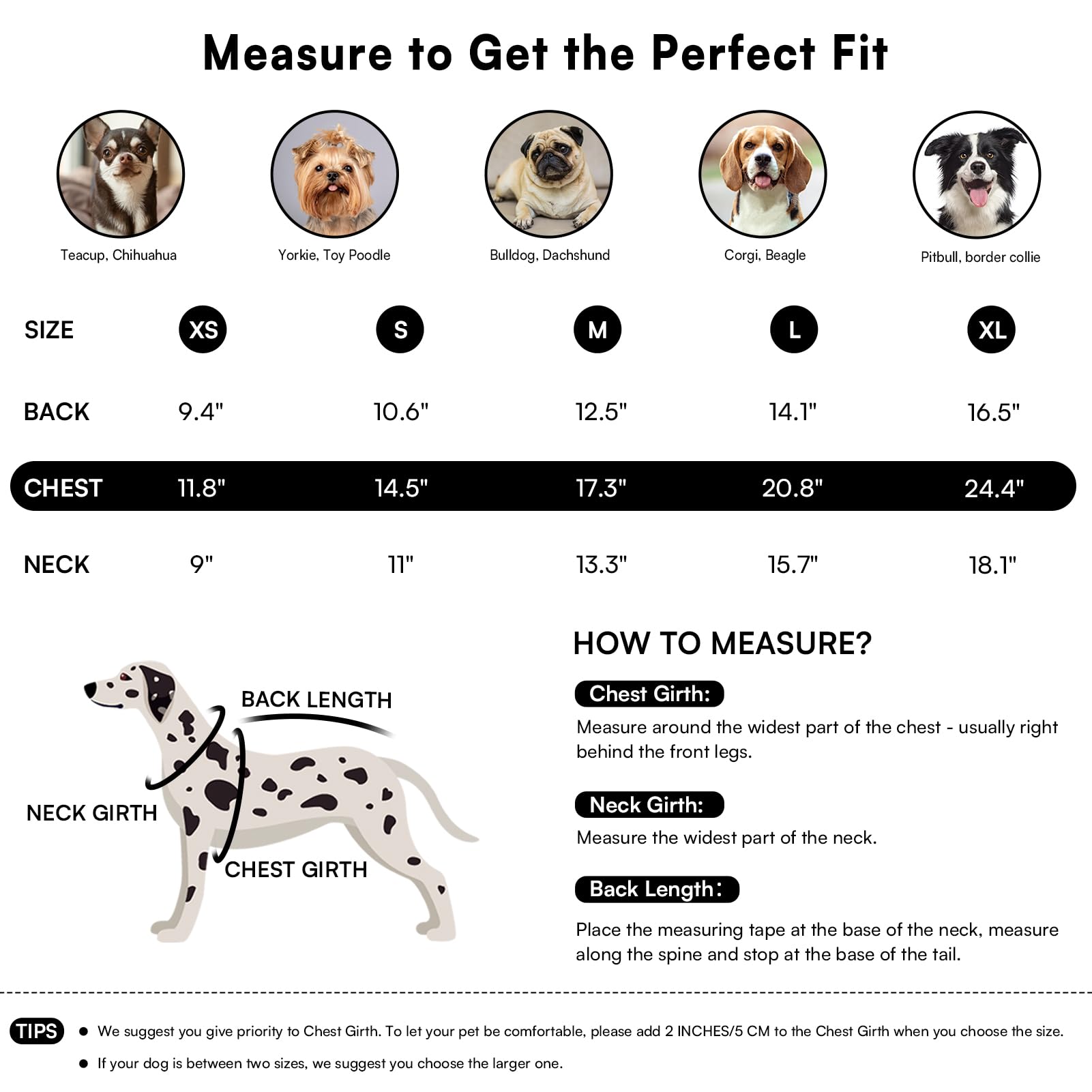 Queenmore suéter para perro manga larga, protección adicional contra el frío.