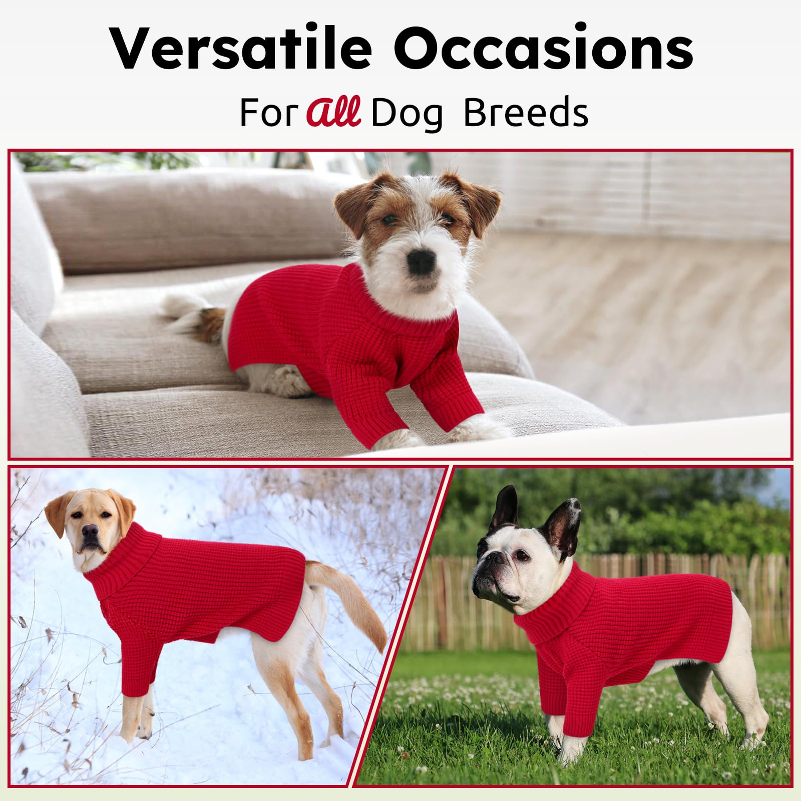 Queenmore suéter perro para ocasiones especiales y navidad, estilo y confort.