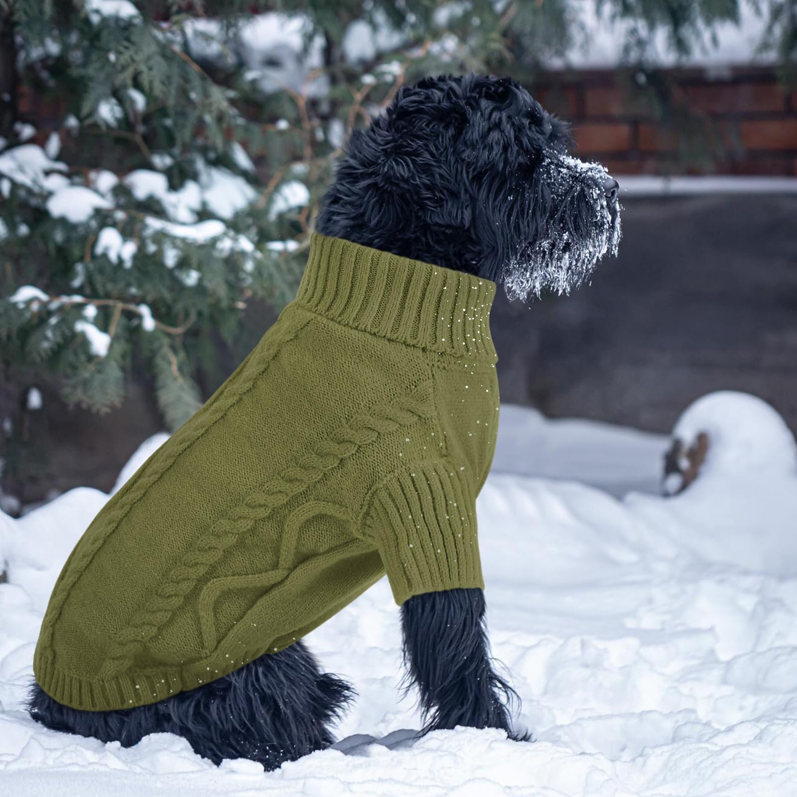 Queenmore suéter para perro pequeño, color verde oliva para looks coordinados
