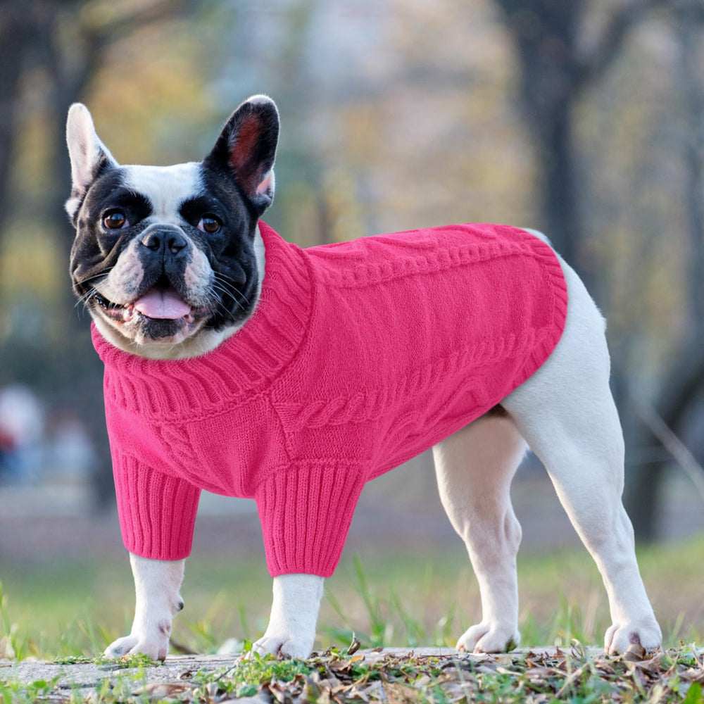Queenmore suéter para perro pequeño en diseño unicolor para looks simples y elegantes.