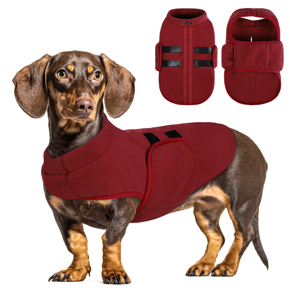 Queenmore suéter para perro pequeño con felpa burdeos, frente cálido.