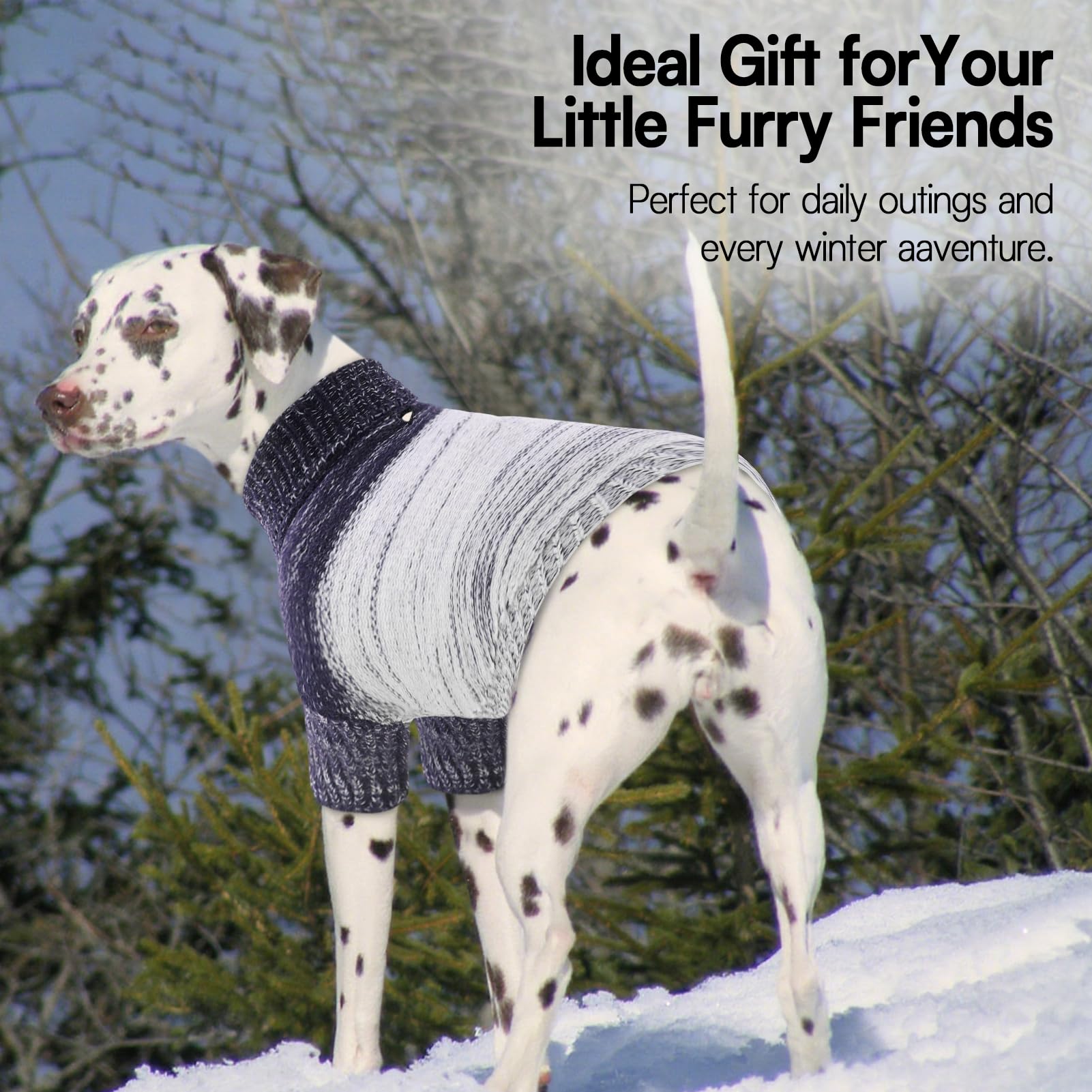 Queenmore suéter para perro para todas las ocasiones y paseos.