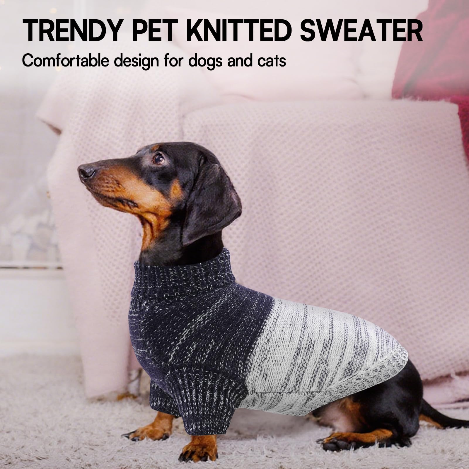 Queenmore suéter para perro, disponible en varios colores y tallas.