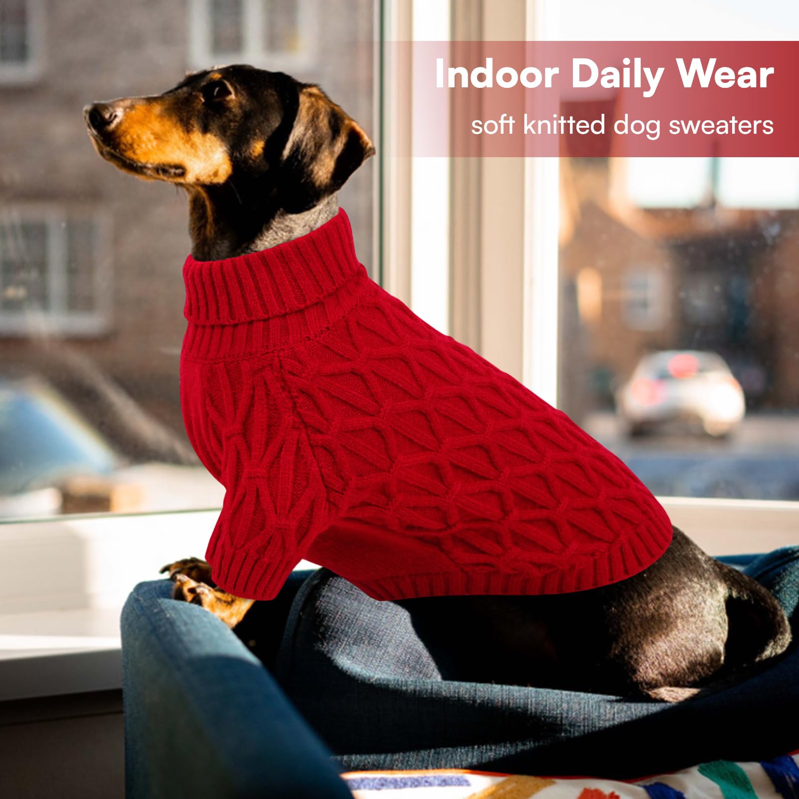 Queenmore suéter perro, tallas XS a 2XL para diferentes cuerpos.