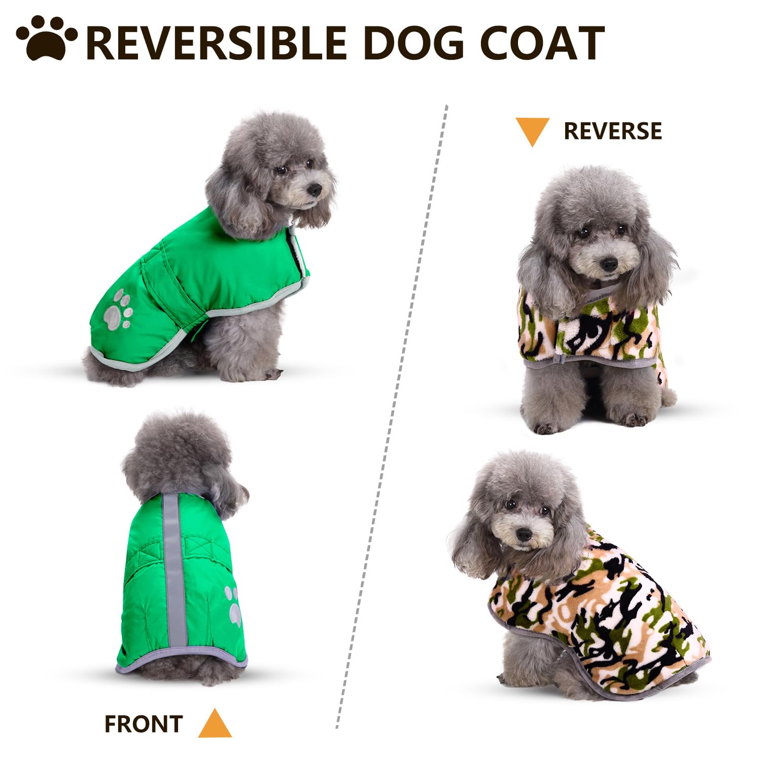 Queenmore tallas-disponibles-guia-tallas, ajuste seguro para tu mascota.