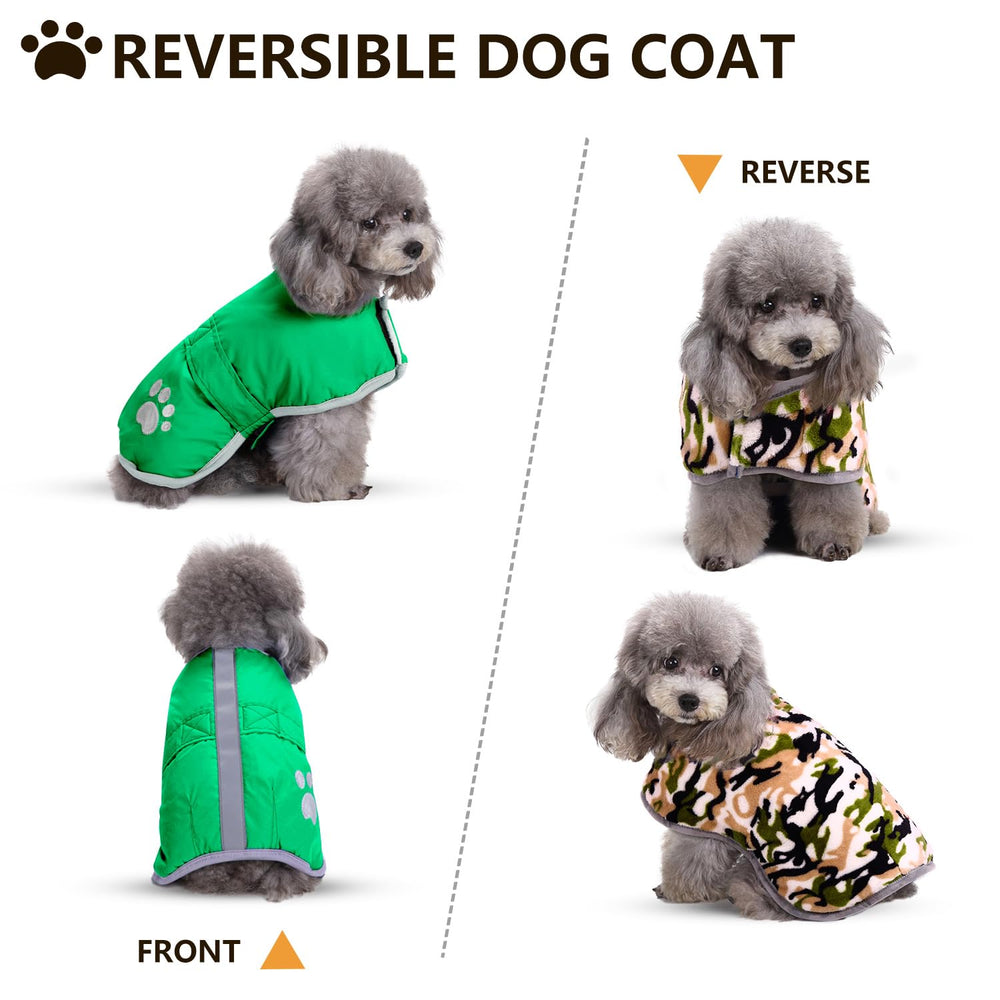 Queenmore tallas-disponibles-guia-tallas, ajuste seguro para tu mascota.