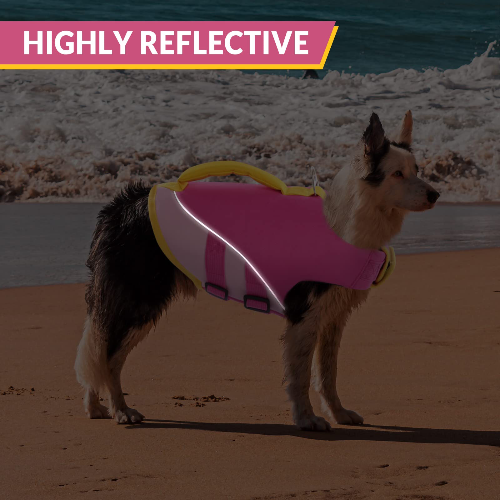 Queenmore talla universal para perros pequeños, medianos y grandes.
