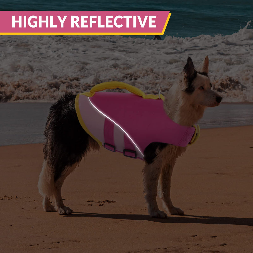 Queenmore talla universal para perros pequeños, medianos y grandes.
