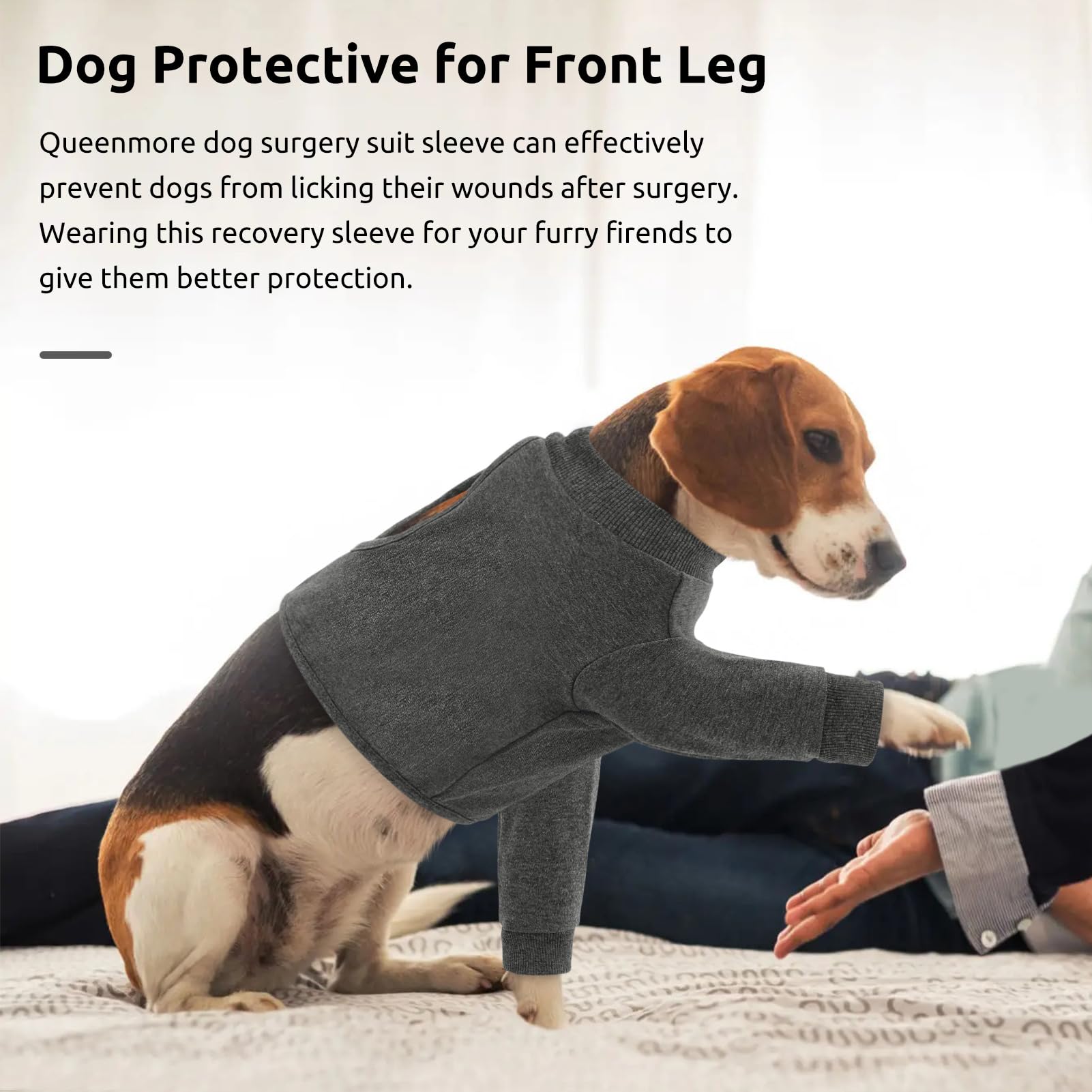 Disponible en seis tallas Queenmore para adaptar la protección a perros de diferentes tamaños