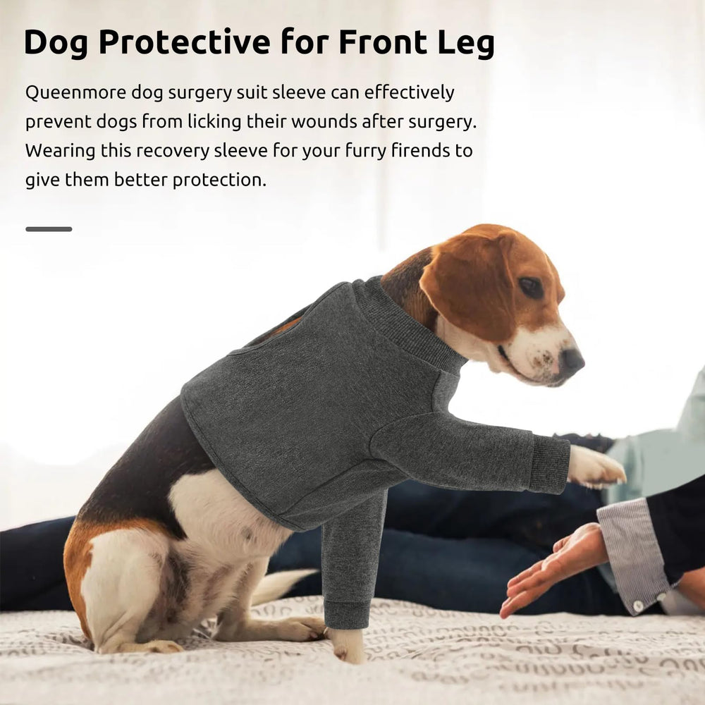 Disponible en seis tallas Queenmore para adaptar la protección a perros de diferentes tamaños