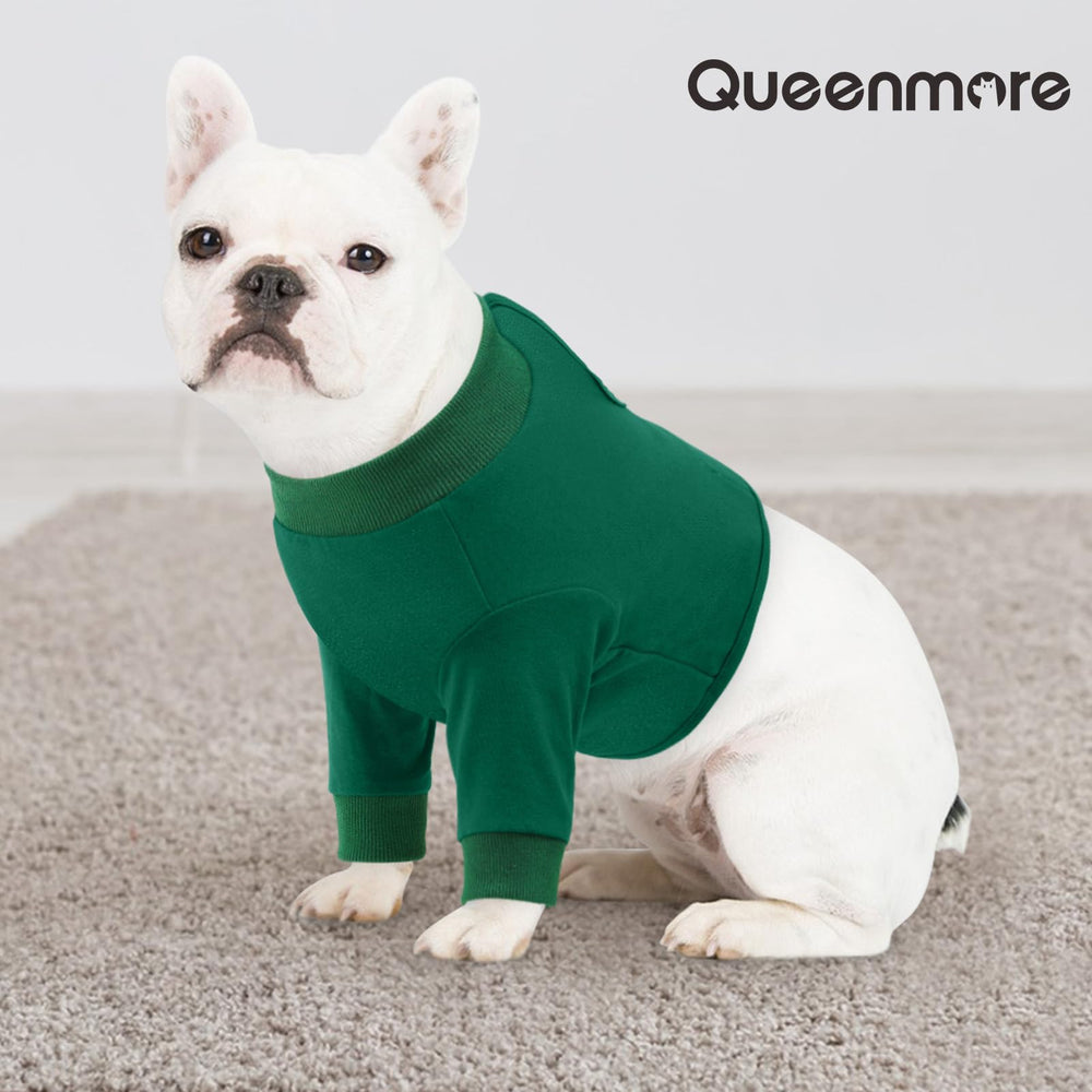 Queenmore seis tallas disponibles para adaptar a perros de distintas medidas.