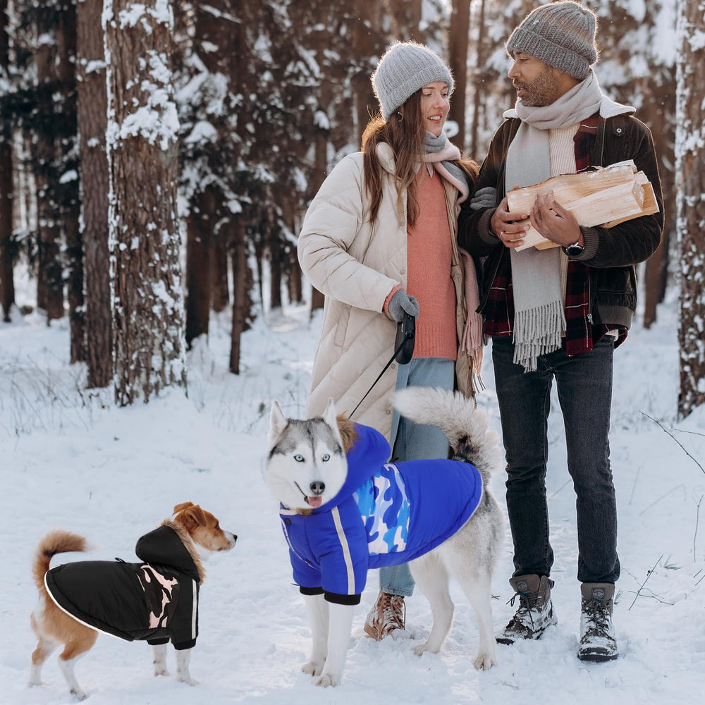 Queenmore tejido impermeable de tres capas para nieve ligera.