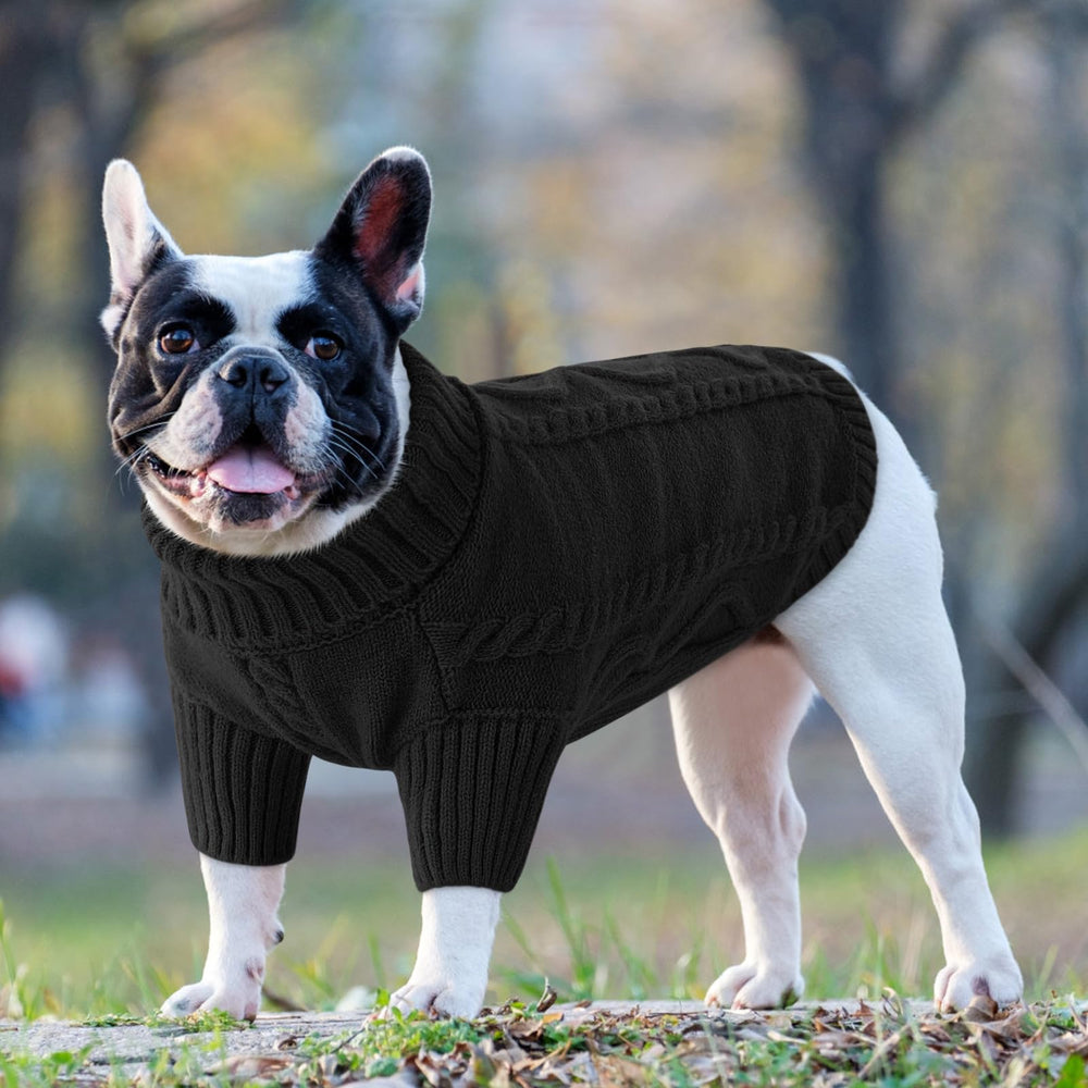 Queenmore uso diario para perros pequeños, fácil de combinar con outfits.