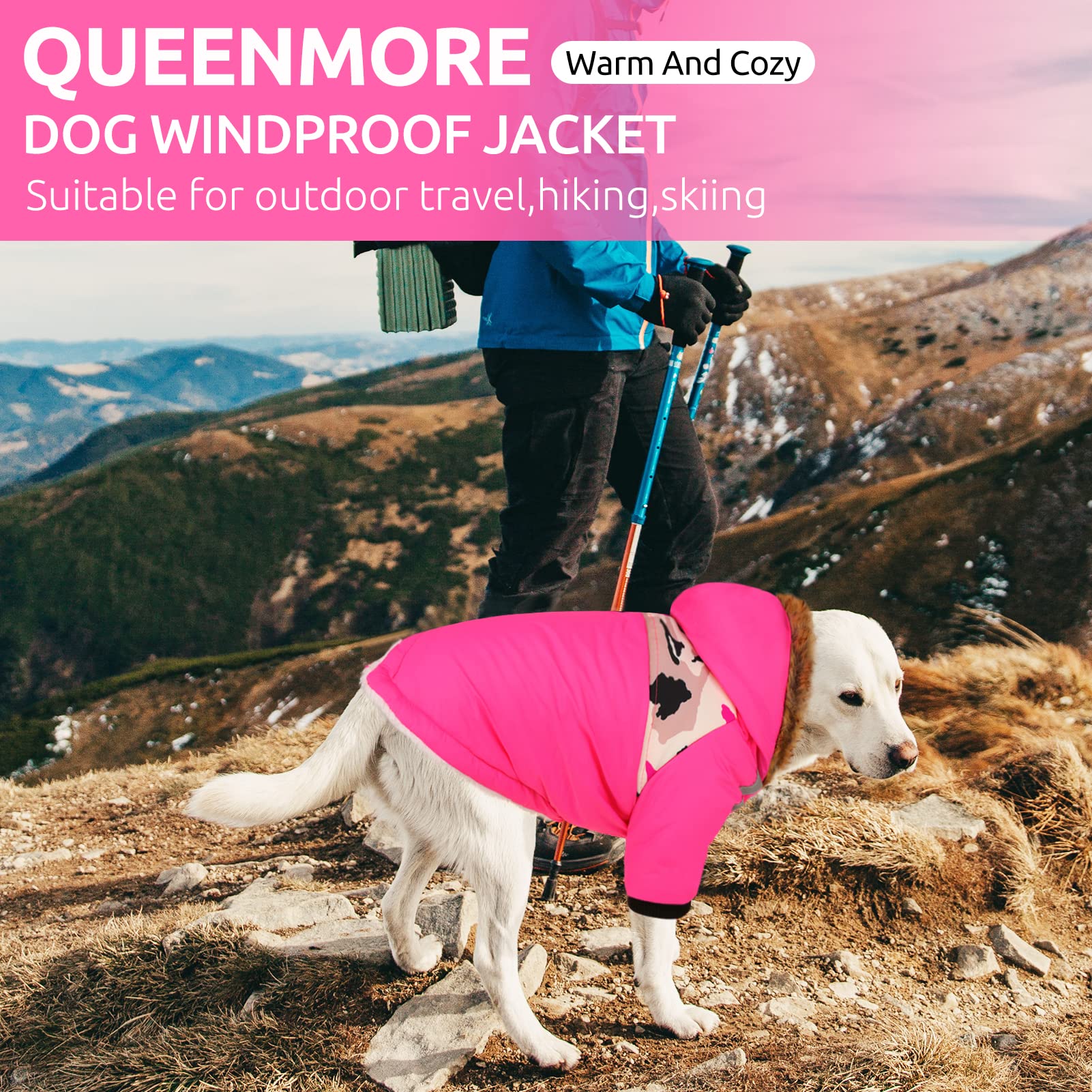 Queenmore uso versátil, perfecto para paseos y aventuras.