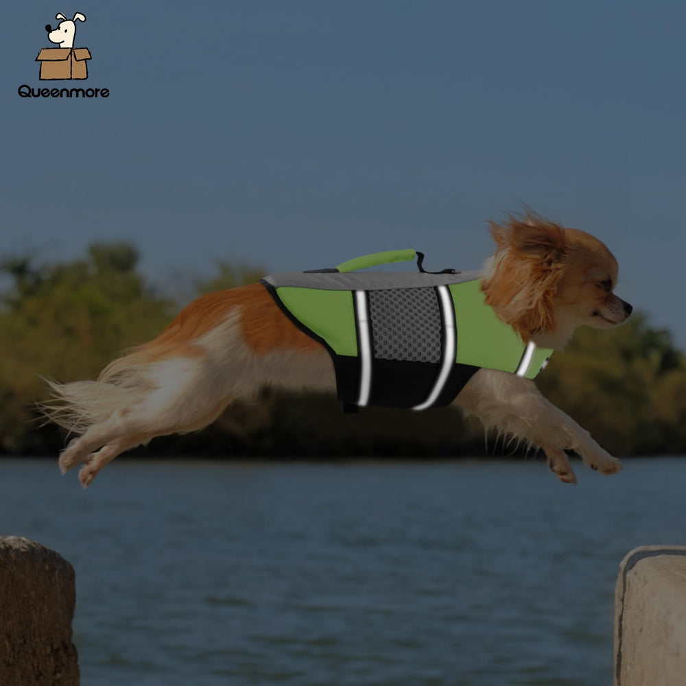 Queenmore chaleco para perros pequeños y medianos, ideal para actividades acuáticas